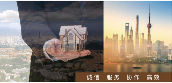 河北盾恒保安服务集团简介2.png